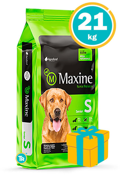 Imagen de MAXINE Alimento Senior 21kg
