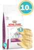 Imagen de ROYAL CANIN Renal 10KG + Orejas
