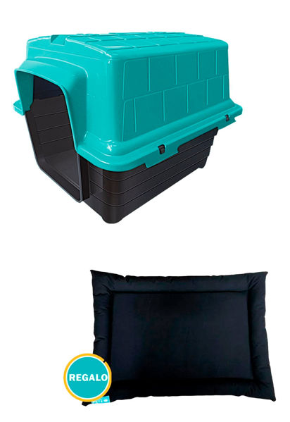 Imagen de CASILLA FURACAO N°6 COLOR