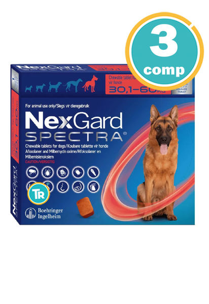 Imagen de NEXGARD SPECTRA PERROS 30 a 60 Kg - PROMO 3 comp