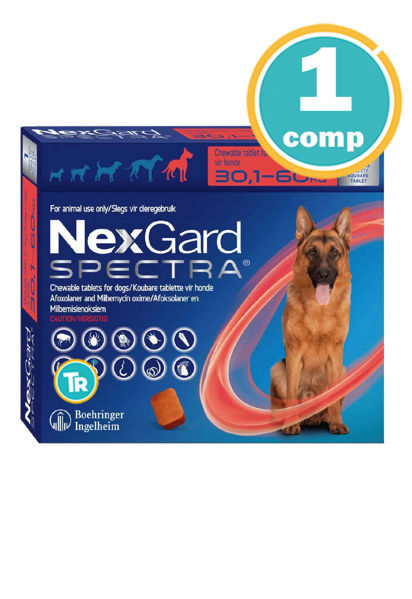 Imagen de NEXGARD SPECTRA PERROS 30 a 60 Kg