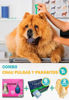 Imagen de COMBO CHAU PULGAS Y PARÁSITOS PERROS + 40kg Pipeta + Antiparasitario