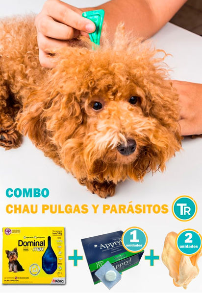 Imagen de COMBO CHAU PULGAS Y PARÁSITOS PERROS - 5kg Pipeta + Antiparasitario
