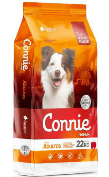 Imagen de CONNIE Adulto 22 +2 PROMO