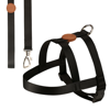 Imagen de ARNES BASICO + CORREA TOH TALLE M NEGRO