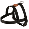 Imagen de ARNES BASICO + CORREA TOH TALLE M NEGRO