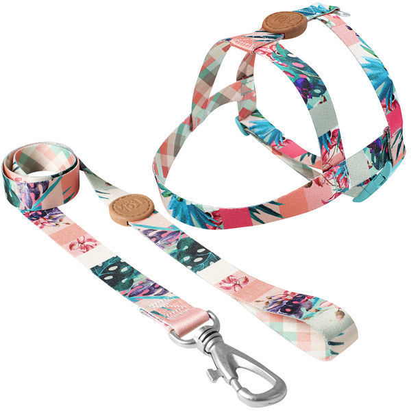 Imagen de ARNES BASICO + CORREA TOH TALLE XS LAGUNA