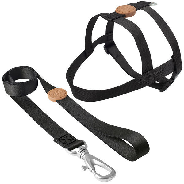 Imagen de ARNES BASICO + CORREA TOH TALLE L NEGRO