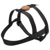 Imagen de ARNES BASICO + CORREA TOH TALLE L NEGRO