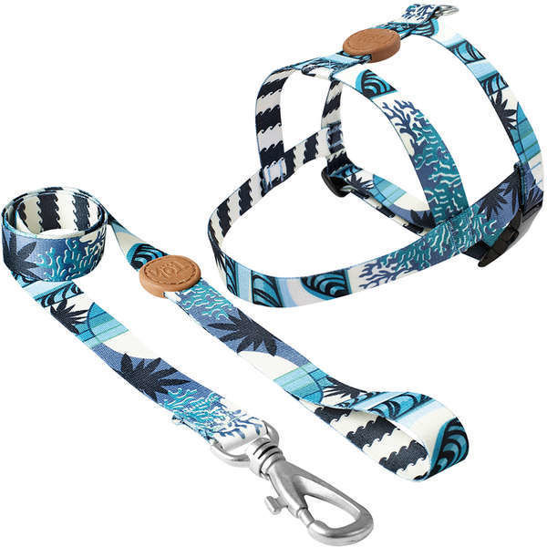 Imagen de ARNES BASICO + CORREA TOH TALLE M NORONHA