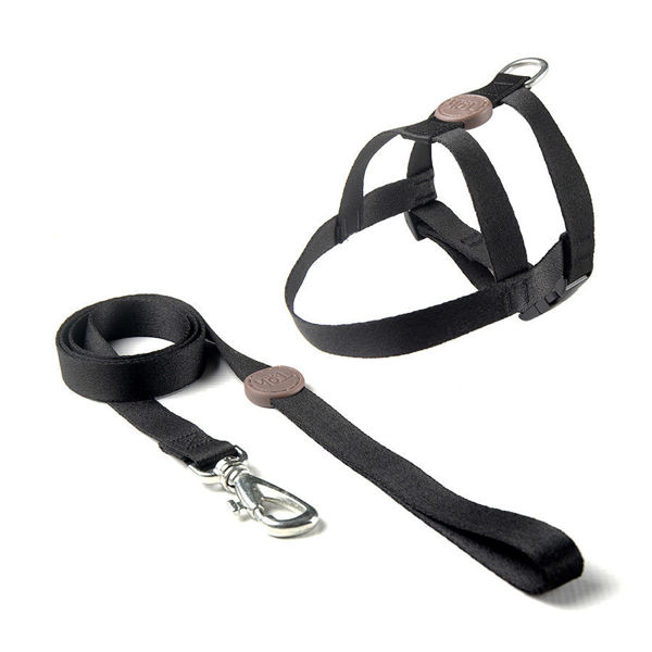 Imagen de ARNES BASICO + CORREA TOH TALLE XS NEGRO