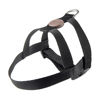 Imagen de ARNES BASICO + CORREA TOH TALLE XS NEGRO