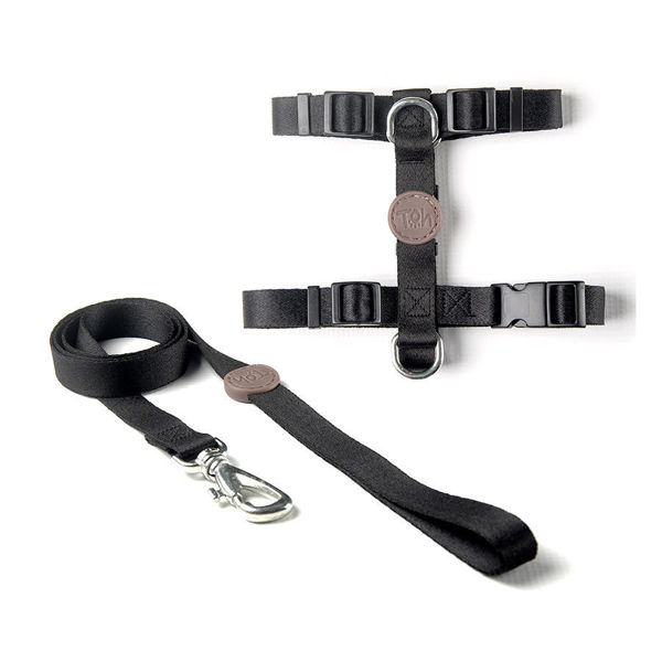 Imagen de ARNES H + CORREA TOH TALLE M NEGRO