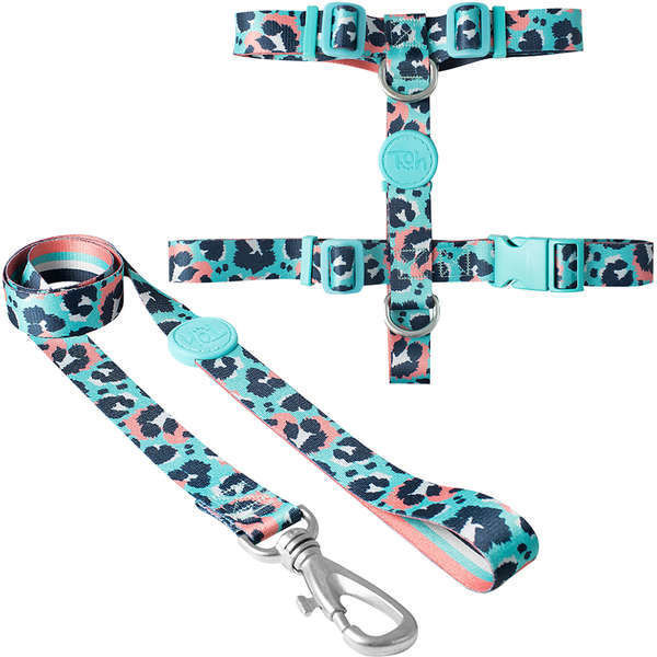 Imagen de ARNES H + CORREA TOH TALLE XS SAVANA