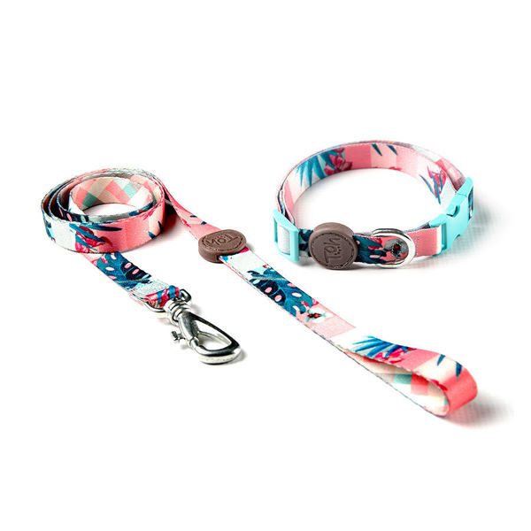 Imagen de COLLAR + CORREA TOH TALLE L LAGUNA