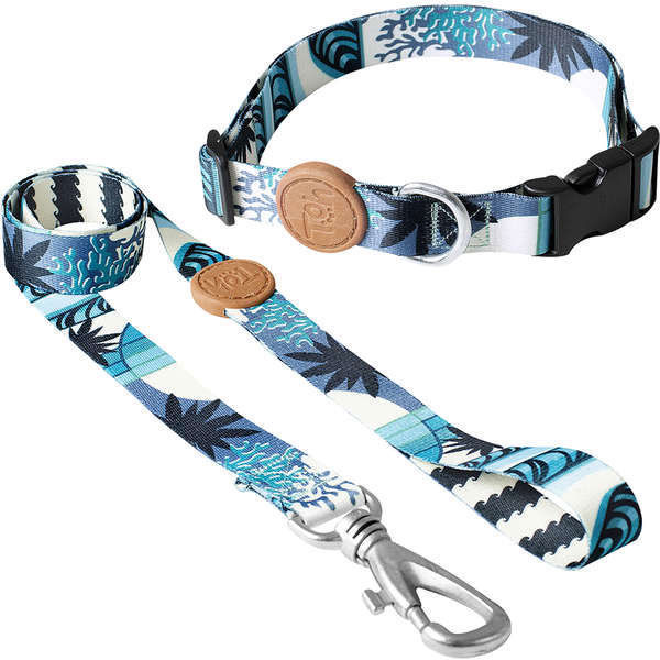 Imagen de COLLAR + CORREA TOH TALLE S NORONHA