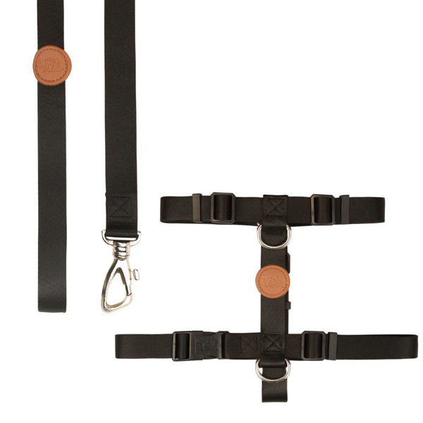 Imagen de ARNES H + CORREA TOH TALLE XS NEGRO