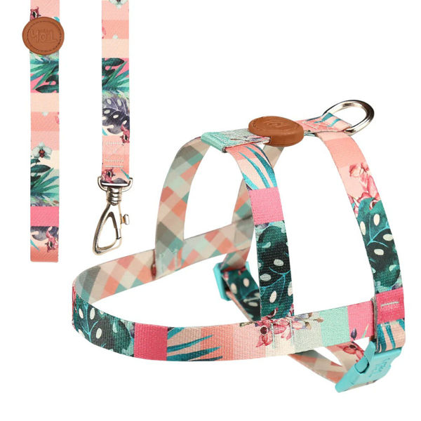 Imagen de ARNES BASICO + CORREA TOH TALLE M LAGUNA ROSA