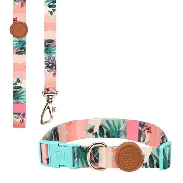 Imagen de COLLAR + CORREA TOH TALLE XS LAGUNA