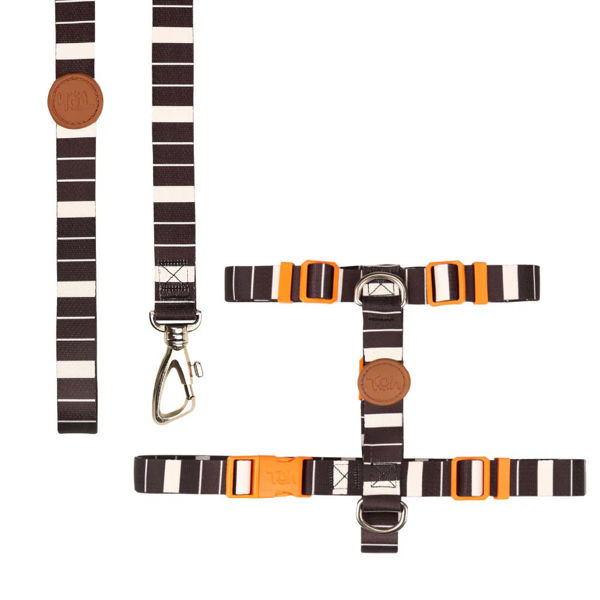 Imagen de ARNES H + CORREA TOH TALLE M ECLIPSE