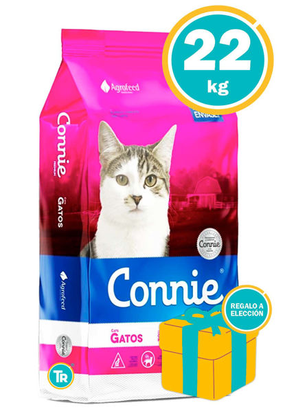 Imagen de CONNIE Gato 22kg