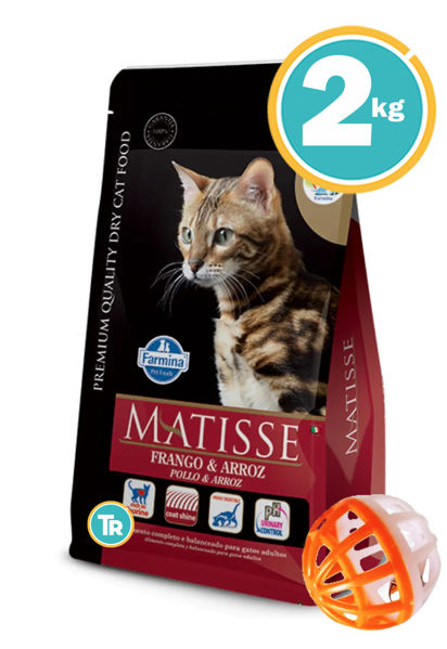 Imagen de MATISSE Frango y Arroz 2Kg + Pelota
