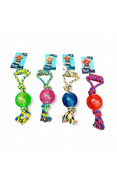 Imagen de Juguete Cuerda Agarre + Pelota