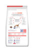 Imagen de HILLS Feline Onc Care 3.2kg + Figuritas
