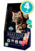 Imagen de MATISSE Alimento Gato Salmón y Arroz 4kg