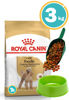Imagen de ROYAL CANIN POODLE PERRO ADULTO 3KG + Pala dosificadora + Comedero