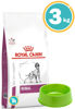 Imagen de ROYAL CANIN Renal 3 kg + Comedero