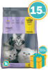 Imagen de Alimento THREE CATS Familia Original Kitten Gatitos 15 kg