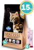 Imagen de MATISSE Gato Castrado Salmón 15kg + Snack
