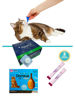 Imagen de COMBO CHAU PULGAS Y PARÁSITOS GATOS < 4kg : Pipeta + Antiparasitario