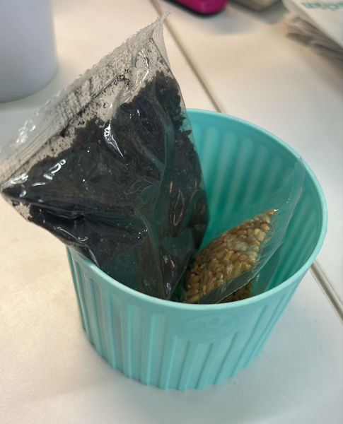 Imagen de GERMINADOR CON SEMILLA Y TIERRA