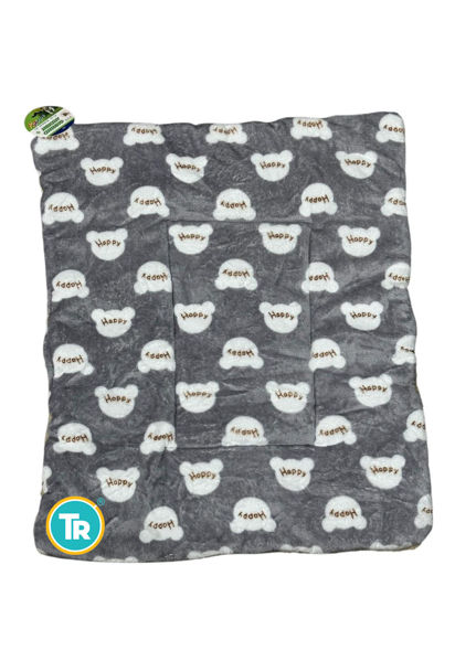 Imagen de ALMOHADON FRANELA 220GSM 30X40X3 CM