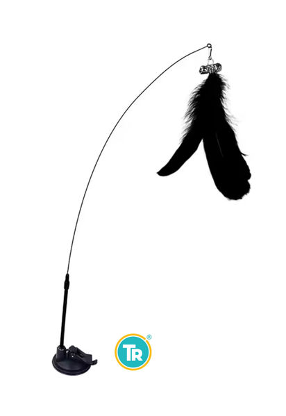 Imagen de JUGUETE VENTOSA PLANA