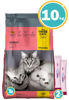 Imagen de THREE CATS Familia Original Gato Adultos Carne 10 kg
