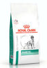 Imagen de ROYAL CANIN PERRO DIABETIC 2KG
