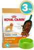 Imagen de ROYAL CANIN PERRO PUPPY POODLE 30 3KG + COMEDERO + PALA
