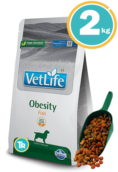 Imagen de VET LIFE CANINE OBESITY & DIABETIC FISH 2KG + PALA