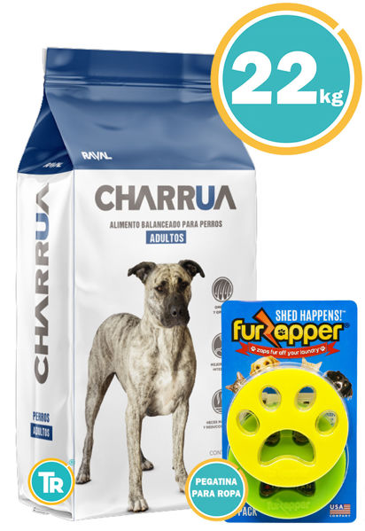 Imagen de CHARRUA Perro Adulto 22 KG + Pegatina para ropa