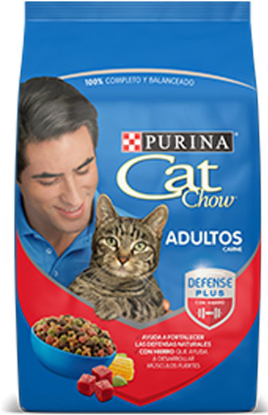 Imagen de CAT CHOW ADULTOS CARNE 3KG.