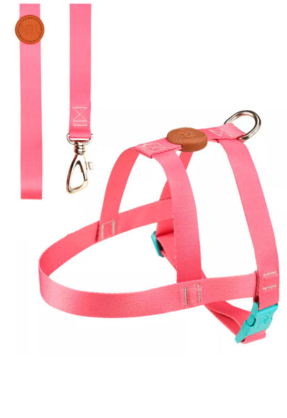 Imagen de ARNES BASICO + CORREA TOH TALLE XS ROSA