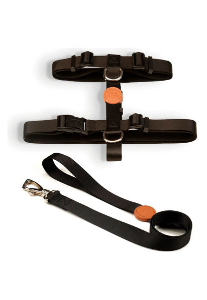 Imagen de ARNES H + CORREA TOH TALLE L NEGRO