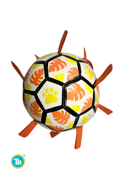 Imagen de PELOTA HOJAS Y HUELLITAS 21.8CM