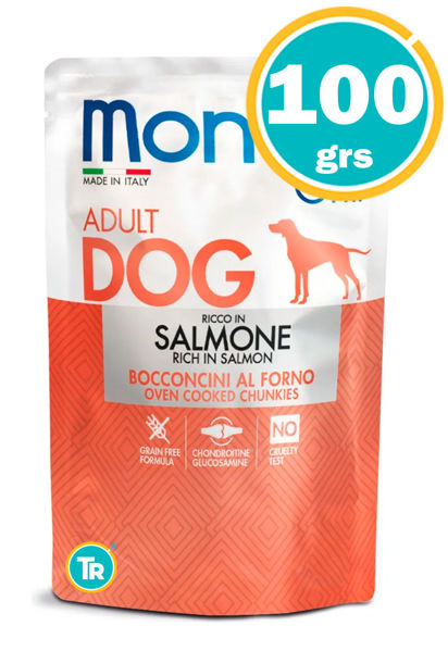 Imagen de SALSA MONGE DOG ADULT SALMON 100GR