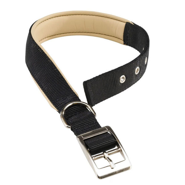 Imagen de COLLAR DAYTONA C25/45 NEGRO