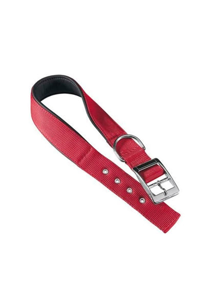 Imagen de COLLAR DAYTONA C20/43