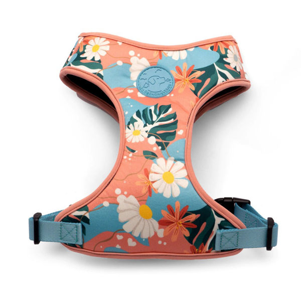 Imagen de ARNES FLOW FLORAL TALLE S - CACHORREIROS